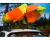  Багажник для каяка и лодок на крыше Yakima Jayhook в компании RackWorld